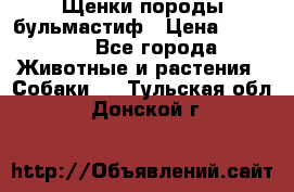 Щенки породы бульмастиф › Цена ­ 25 000 - Все города Животные и растения » Собаки   . Тульская обл.,Донской г.